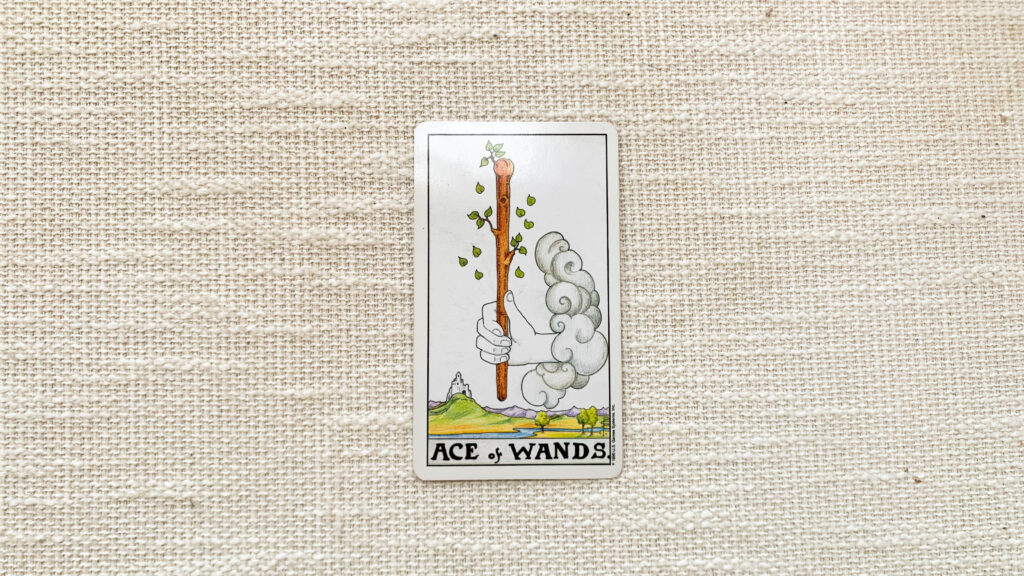 權杖王牌 Ace of Wands 塔羅牌意思 - 排憂雜貨舖-戴爾部落格