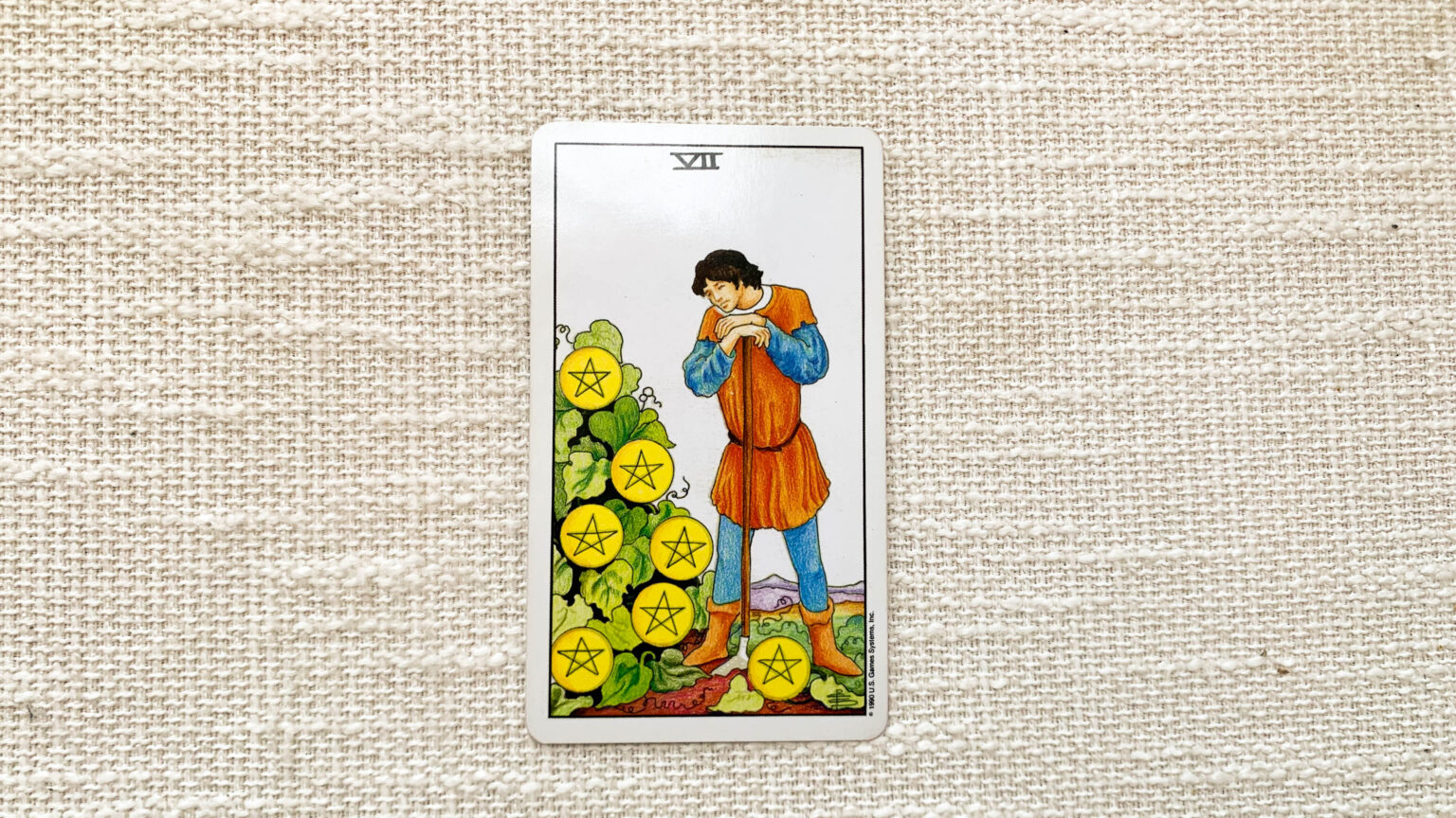 錢幣七 Seven of Pentacles 塔羅牌意思 - 排憂雜貨舖－戴爾部落格